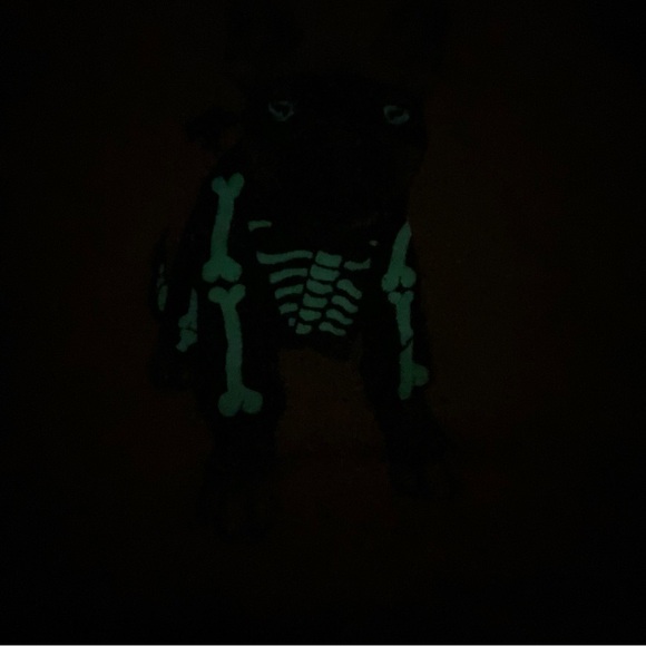 3 for $15 Glow In The Dark French Bull Dog Skeleton Tee Old Navy Size 6-7 Orange - Picture 13 of 14